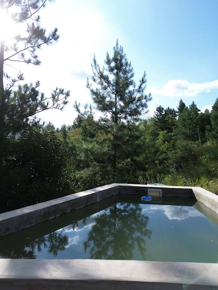 Casa Faro Vista — foto 3