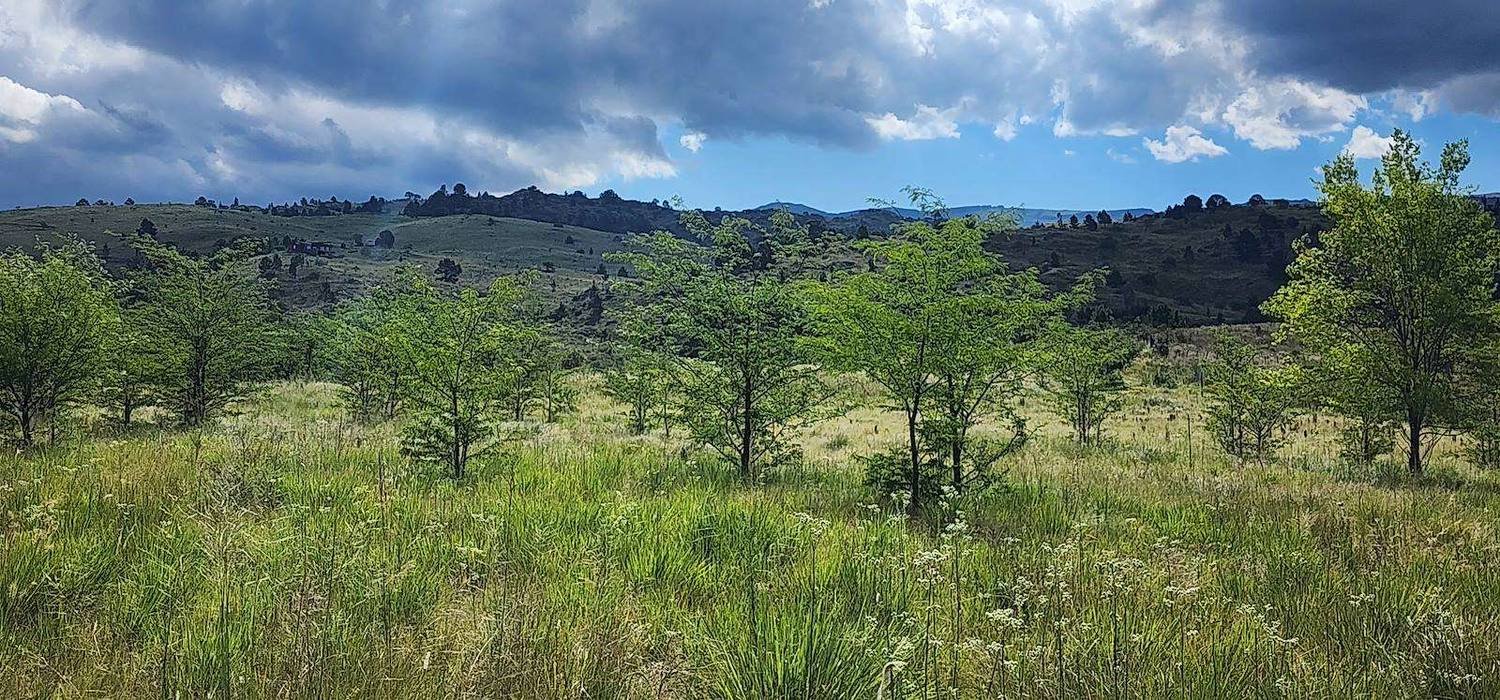 Terrenos Triángulo, Triángulo del Durazno